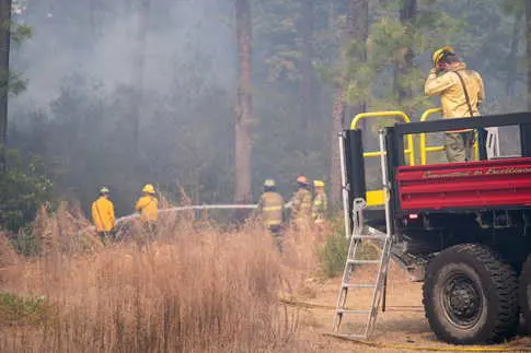Feux de forêt en Caroline du Nord et du Sud : évacuations et interventions d'urgence.