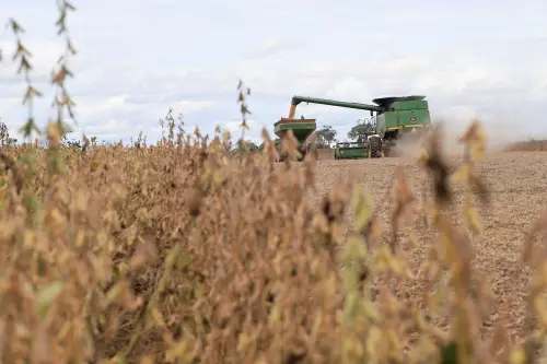 Les agriculteurs de soja en Bolivie sur le qui-vive face à la pénurie de carburant qui affecte la récolte.