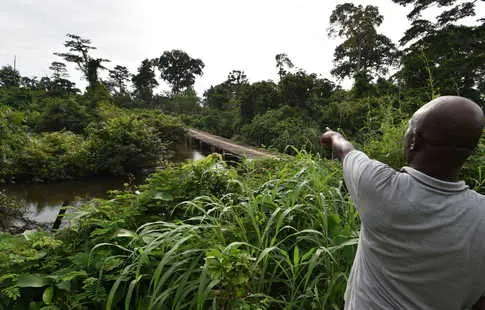 Les anciens humains ont prospéré dans les forêts tropicales africaines deux fois plus tôt que ce que l'on savait auparavant.