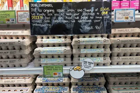 L'administration Trump dévoile un plan d'un milliard de dollars pour faire face à l'envolée des prix des œufs.