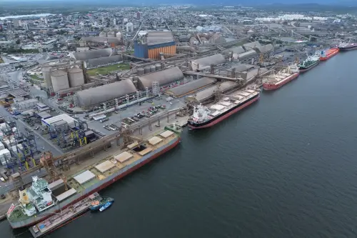 Le Brésil pourrait en sortir gagnant des lourds tarifs douaniers américains, affirment les économistes.